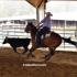 Volunteer Ranch Horse Show